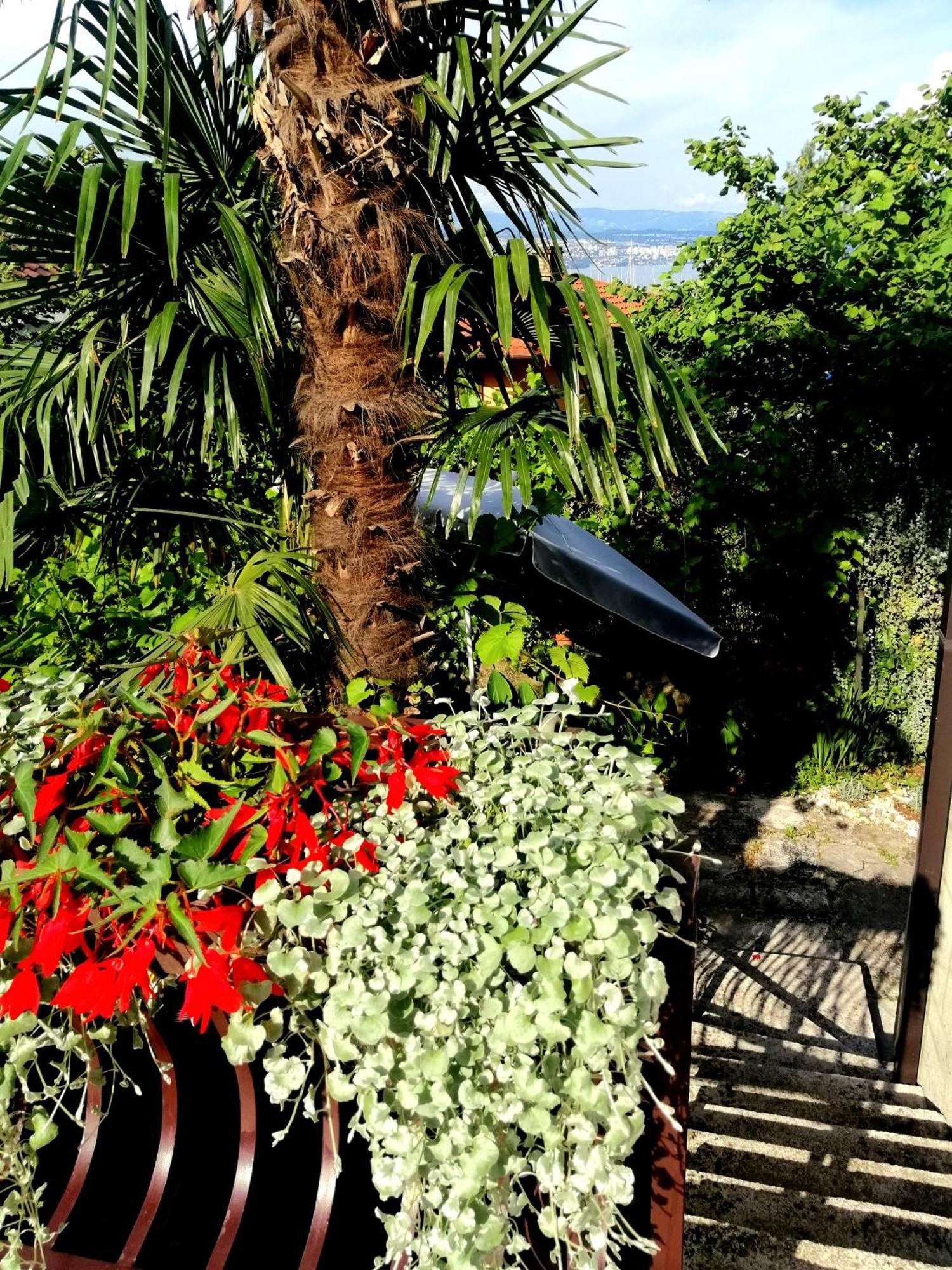 Apartment Sea Garden Ičići Buitenkant foto